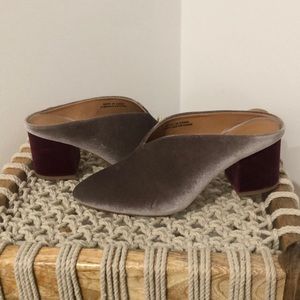 Lavender/cranberry velvet urban outfitters mules